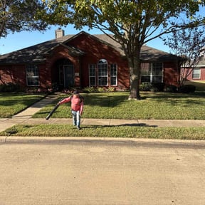 Bush Trimming by Hugheslandscaping reviewed on November 19, 2025