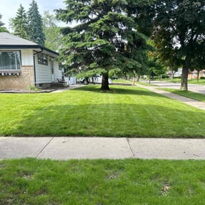 turf maintenance by Sidekick reviewed on June 26, 2025