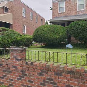 Bush Trimming by Clinton's lawn service llc reviewed on August 20, 2025
