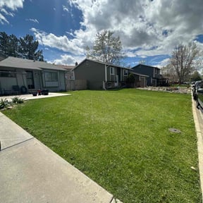 landscaping services by Custom Remodeling and Restoration reviewed on December 11, 2025