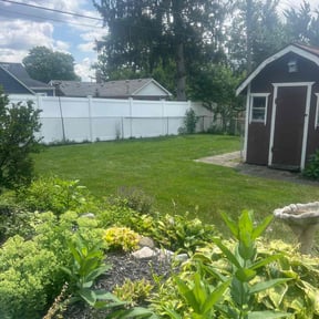 yard care by Mola Property and Lawn Service reviewed on August 16, 2025