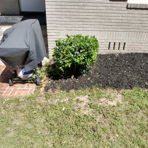 Bush Trimming by Green Munsters cuts reviewed on August 21, 2025