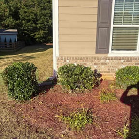 Bush Trimming by Ornamental Turf &amp; Gardens reviewed on November 10, 2025