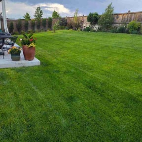 yard care by NEW CREATION LAWN PROFESSIONALS reviewed on August 21, 2025
