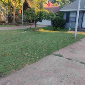 Bush Trimming by Green City Landscaping Co LLC reviewed on December 27, 2025