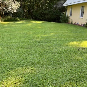 yard care by Lipsey's Lawn Service reviewed on August 17, 2025
