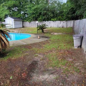 Leaf Removal by Morel Lawn & tree service reviewed on August 16, 2025