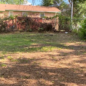 Bush Trimming by New leaf Landscaping reviewed on August 17, 2025