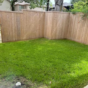 yard work by Pro-Lawn-Care 1 reviewed on December 4, 2025