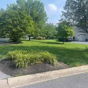 residential landscaping by Thom's mowing and lawn care reviewed on August 17, 2025