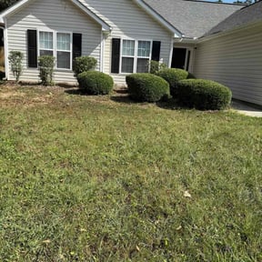 Bush Trimming by Man With A Plan reviewed on October 18, 2025