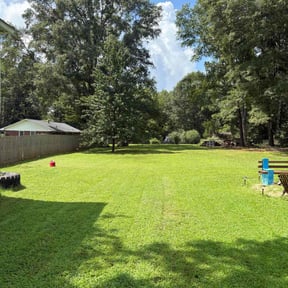 turf maintenance by Kool Cutz Lawn Care reviewed on August 16, 2025