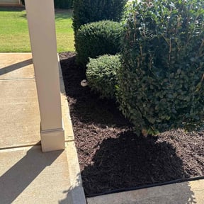 Mulching by RGV LawnCare Services reviewed on August 19, 2025