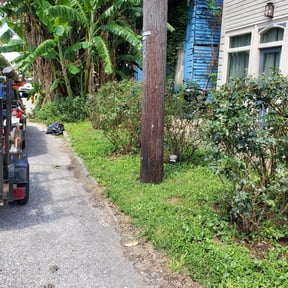 Bush Trimming by MLB detailing LLC reviewed on August 20, 2025