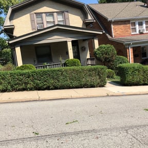 Bush Trimming by Burning River Lawn and Landscape LLC reviewed on August 20, 2025