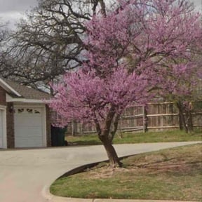 Leaf Removal by Modern View Remodeling llc reviewed on May 14, 2026