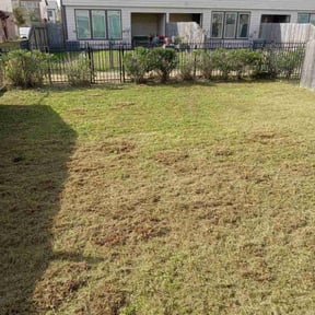 Bush Trimming by S & G Landscaping, Inc. reviewed on August 19, 2025