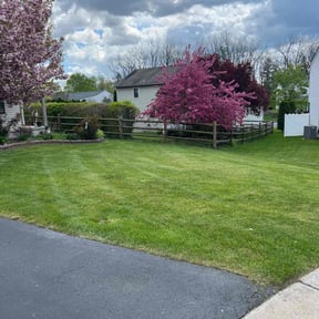 yard care by ERH landscaping reviewed on July 21, 2025