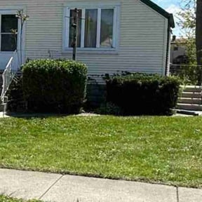 Bush Trimming by American Strong Mowing LLc reviewed on May 2, 2026
