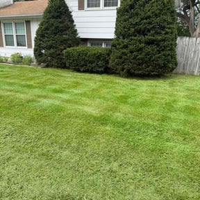 Bush Trimming by 5280 Lawns Llc reviewed on November 8, 2025