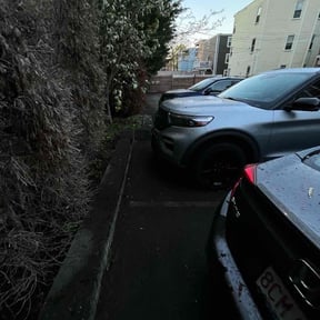 Leaf Removal by Coram landscaping reviewed on September 21, 2025