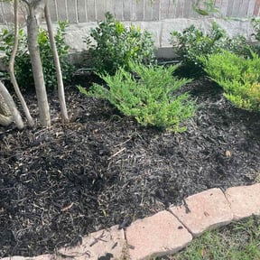 Flower Bed Weeding by Back Creek Property Services reviewed on July 11, 2026