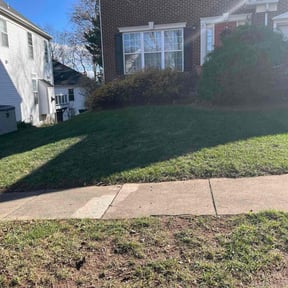 Leaf Removal by Under Cut Home and Lawn Services reviewed on July 28, 2026