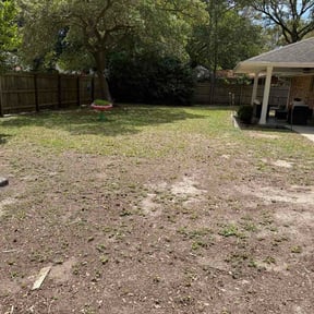 Leaf Removal by Porters Professional Lawncare reviewed on April 19, 2026