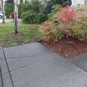 Leaf Removal by Trash Cupid Rental reviewed on September 23, 2025