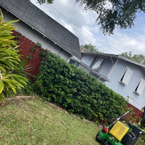Bush Trimming by Pinpoint Landscaping reviewed on August 16, 2025