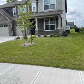 grass cutting by 5K Landscape reviewed on March 20, 2024