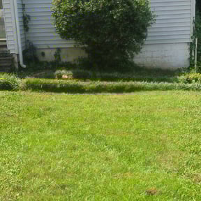 Bush Trimming by A+Plus Maintenance reviewed on August 17, 2025