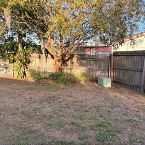 Bush Trimming by Zombie cutting team reviewed on December 24, 2025