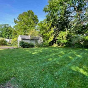 landscaping by Verde Lawn and Property Management reviewed on August 17, 2025