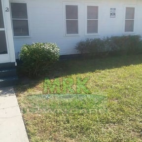 Bush Trimming by Baker lawncare reviewed on August 15, 2025