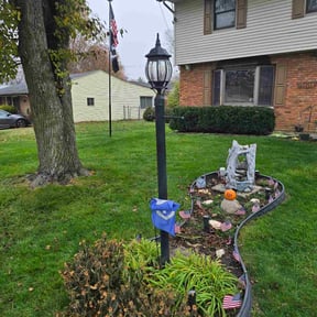 Leaf Removal by Dave's Professional Lawn Service reviewed on November 22, 2025