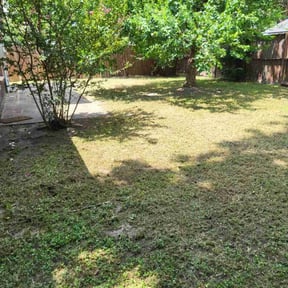 Leaf Removal by Go Carolina! Landscaping reviewed on September 16, 2025