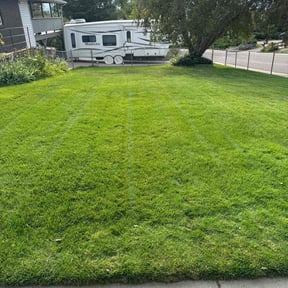 landscape maintenance by Mowerman reviewed on November 24, 2025