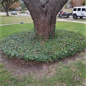 Leaf Removal by Three E's Lawn Care LLC. reviewed on September 20, 2025