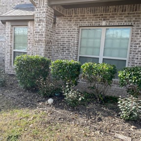 Bush Trimming by Artavius  Clark reviewed on August 21, 2025