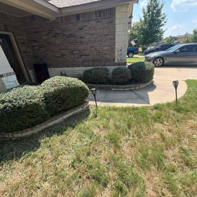 Bush Trimming by Anyway landscape reviewed on October 18, 2025