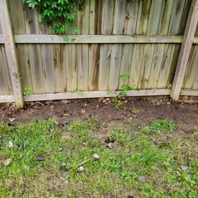 Leaf Removal by Custom Performance reviewed on August 15, 2025