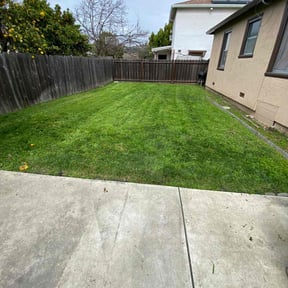 lawn service by Tikitiki Garden Service reviewed on April 15, 2025