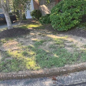 Leaf Removal by Gods blessed hands reviewed on October 1, 2025