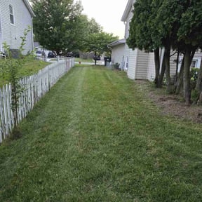 lawn service by MY Landscaping & Lawn Care  reviewed on April 19, 2024