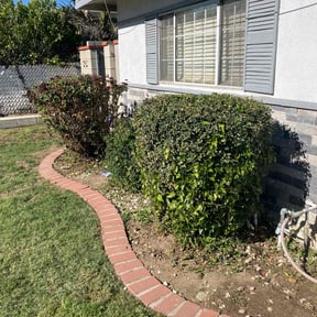 Bush Trimming by Calla Lyle Landscaping reviewed on December 25, 2025