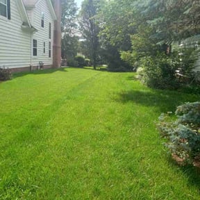 turf care by Back To Life Landscape LLC reviewed on August 21, 2025