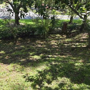 Leaf Removal by Biggs customs reviewed on August 20, 2025