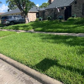 yard service by CTRL SPC LLC reviewed on August 20, 2025
