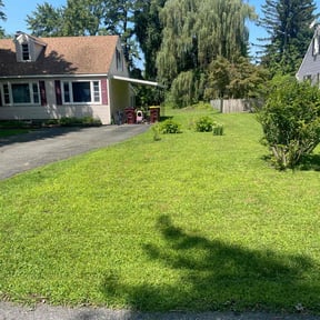 yard care by SRK Enterprises reviewed on December 31, 2025